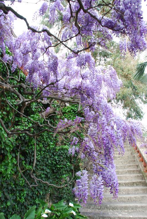 Villa Della Pergola Relais Et Chateaux Alassio Exteriér fotografie
