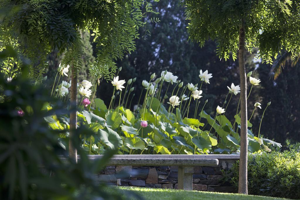 Villa Della Pergola Relais Et Chateaux Alassio Exteriér fotografie