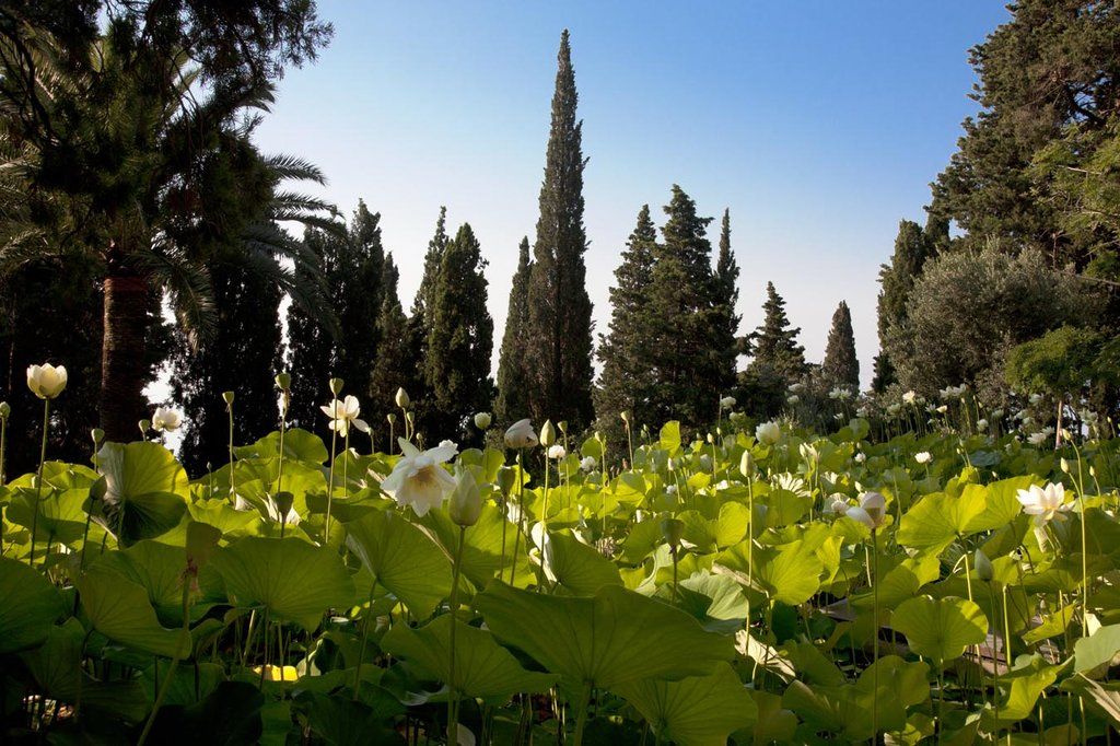 Villa Della Pergola Relais Et Chateaux Alassio Exteriér fotografie